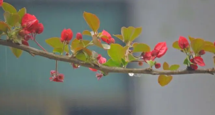 ?今年為什么這么旱不下雨20232