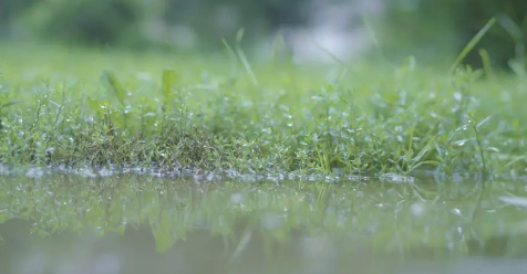 ?今年為什么這么旱不下雨20233