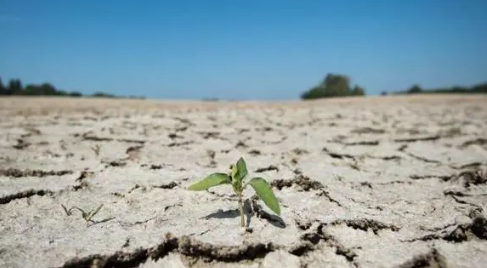 今年的干旱持续到什么时候结束20231