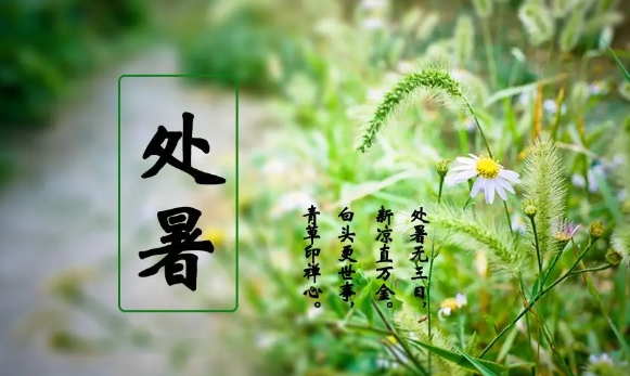 處暑交運(yùn)是一天還是一個(gè)時(shí)辰2