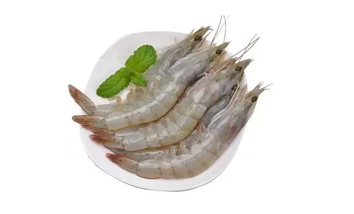 日本排放核污水還能吃蝦嗎2