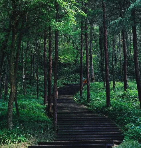 青城山為什么不能去3