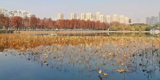 湖北武汉今年什么时候入冬20241