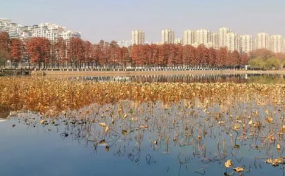 湖北武汉今年什么时候入冬2024