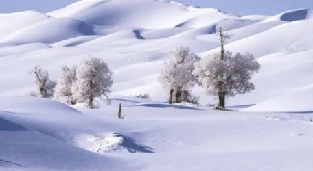 2024年新疆冬天几月份最冷3