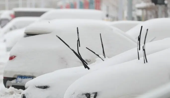 哈尔滨2024年元旦会下雪吗3