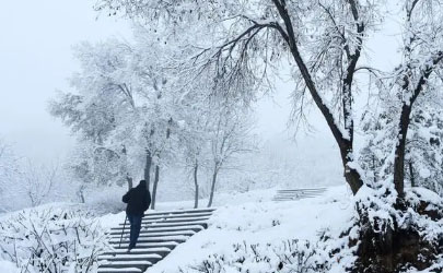 2024年元旦去南京能看到雪嗎