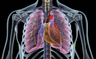 支原體肺炎對肺部危害大嗎