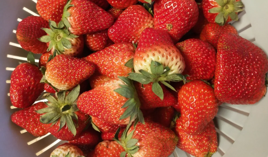 草莓打农药多吗有毒吗3