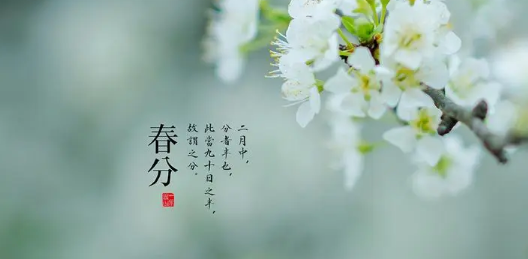 《女理发师》在线观看