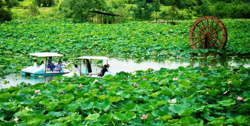 2024年夏天从什么时候开始算 哪个节气过后是夏天