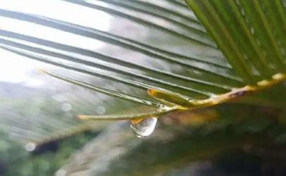 2024年6月云南多雨吗