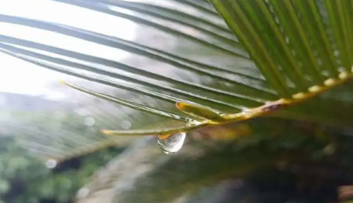 2024年6月云南多雨嗎1