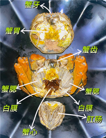 螃蟹黃里面有黑色的像血塊是什么原因3