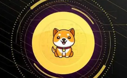 babydoge幣未來價值