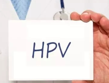 每个男性都携带hpv吗3