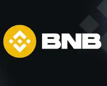 币安币bnb是什么1