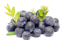 吃蓝莓的好处有哪些 蓝莓的营养价值