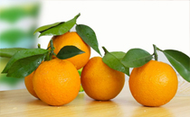 脐橙可以放冰箱吗 脐橙可以保存多久