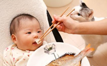 宝宝9个月可以吃鱼吗 哪种鱼适合9个月宝宝吃