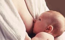 奶嘴可以代替乳头保护罩吗 乳头保护罩会让宝宝拒奶吗