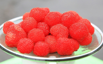 野草莓与蛇莓怎么区分 野草莓和蛇莓的区别