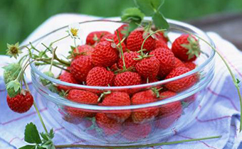 草莓不洗能吃吗 草莓压烂了还能吃吗