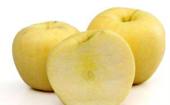 黄苹果是什么品种 孕妇吃黄苹果好吗