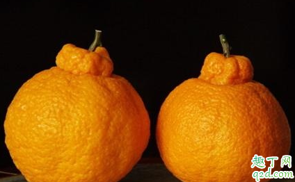 丑橘怎么保存 丑八怪的功效与作用