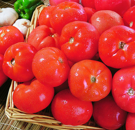 服用抗凝血药物不能吃西红柿 容易造成皮下和肌肉出血