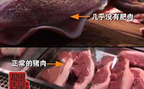 瘦肉精猪肉吃了有什么危害 鉴别方法介绍