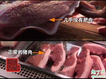 瘦肉精猪肉吃了有什么危害 鉴别方法介绍