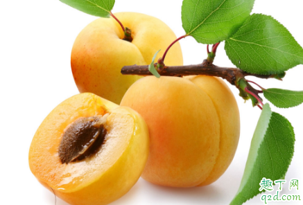秋天吃什么水果可以润肺 秋天润肺适合吃哪些水果