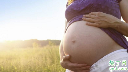 怀孕16天就能判断胎儿性别 判断胎儿性别的方法