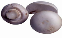 孕期吃口菇防止便秘促排毒 孕妇吃口菇的做法