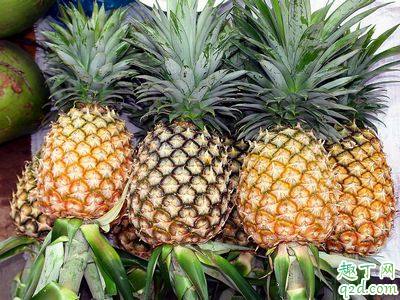 凤梨是菠萝吗 揭秘12类相似食物