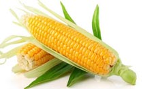 冬天吃玉米好吗 冬天吃玉米能减肥吗