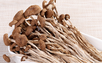 女人吃茶树菇有什么优势吗 茶树菇功效与作用介绍