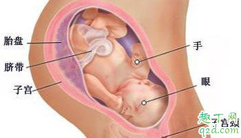 如何加快胎儿入盆 加快胎儿入盆的方法有哪些