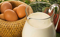 早餐吃鸡蛋好吗 牛奶和鸡蛋适合一起吃吗