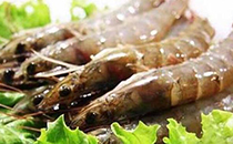 为大虾做变性手术雌变雄什么梗 变性虾有营养吗吃了有什么危害