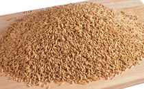 浮小麦的功效与作用 浮小麦怎么吃最好