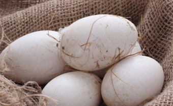 孕妇吃鹅蛋有什么影响 孕妇几个月可以吃鹅蛋