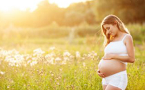 孕妇补钙的原则需注意 孕妇补钙日常注意事项有哪些