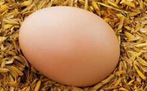 鸡蛋可以和鸡精一起吃吗 隔夜鸡蛋不宜吃的原因
